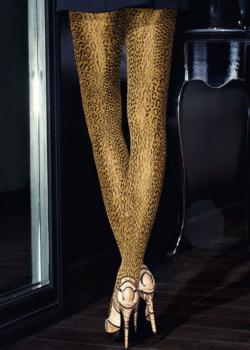 Kunert Gold Leo Tights In Stock At UK Tights