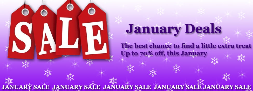 January Sale Banner copy