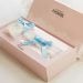 Promise Sweet Day Push Up Chemise And Thong box