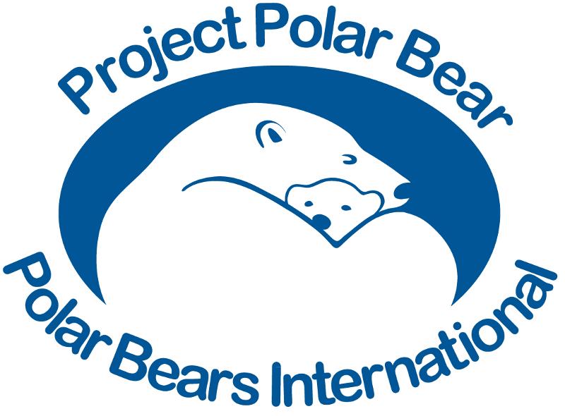Image result for polar bear international