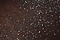 Black-Sparkle