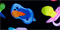 Chupa