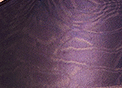 Nightshade