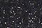 Black-Silver-Lurex