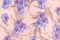 Blossom-Blue