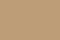 Camel-2