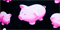 Pigs