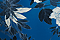 Azul-Print