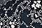 Black-Nocturno-Print