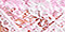 Pink-White