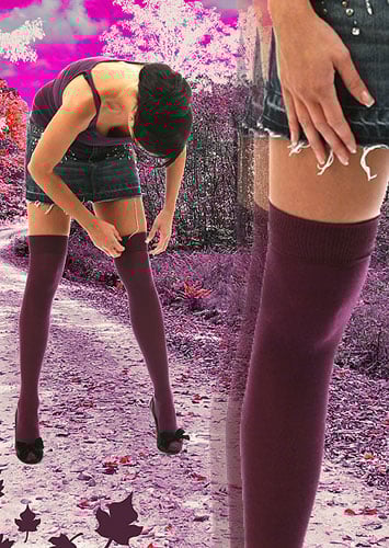 Pamela Mann Plain Over The Knee Socks image