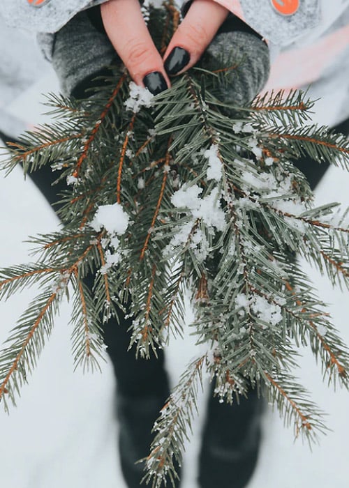 Wildheart Organics Christmas Tree Spa Candle Archived  image