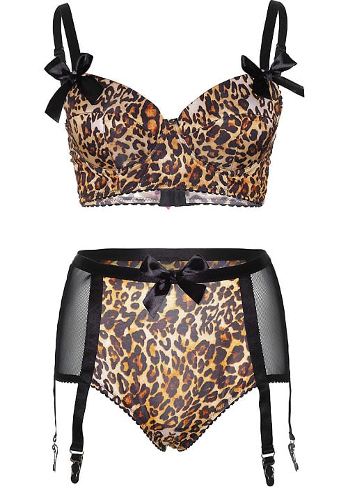 Leg Avenue 2 Piece Animal Print Bra And Matching 6 Hook Garter image