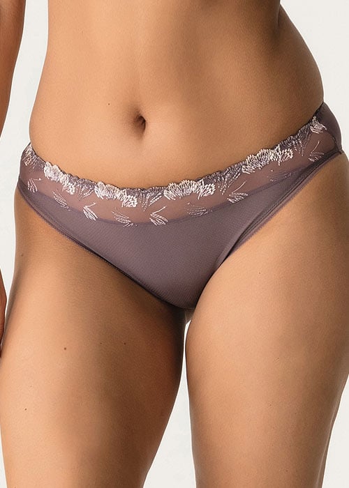 PrimaDonna Plume Rio Brief image